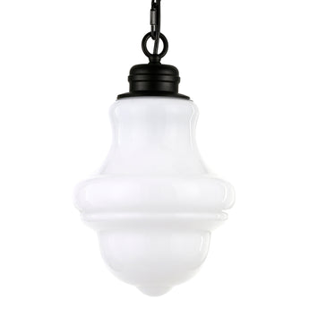 Annie 9.13" Wide Pendant with Glass Shade