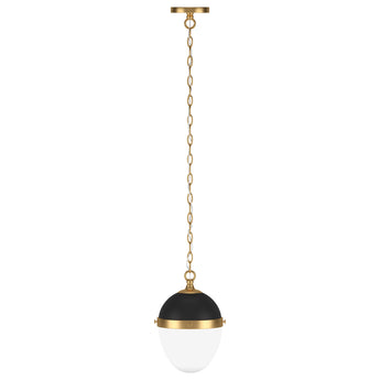 Aurelia 9" Wide Pendant with Glass Shade